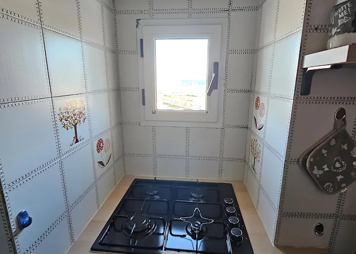 Apartment Domus