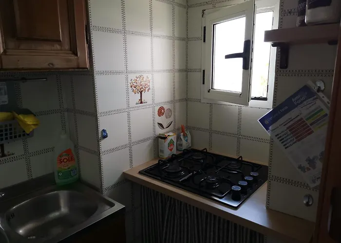 Domus Apartment